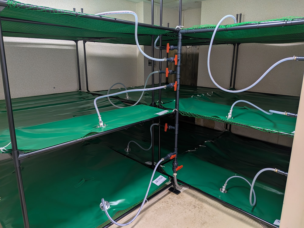 惑星研 ガスバッグ